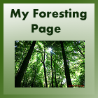 My Foresting Page
